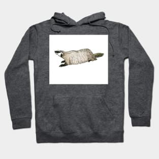 Badger study Hoodie